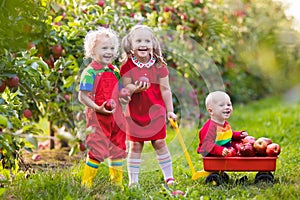 Kids picking apples in fruit garden