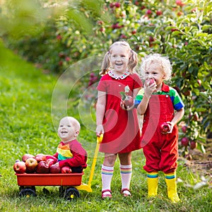 Kids picking apples in fruit garden