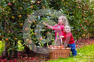 Kids picking apples from tree