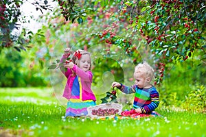 Kids picking cherry on a fruit farm garden