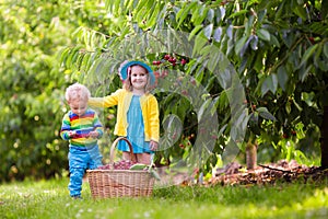 Kids picking cherry from tree