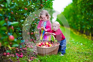 Kids picking fresh apple on a farm