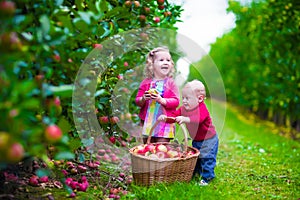 Kids picking fresh apple on a farm