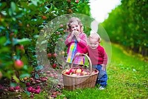 Kids picking fresh apple on a farm