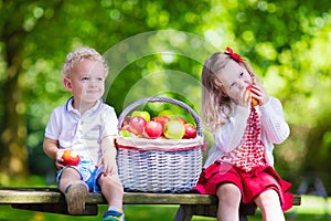 Kids picking fresh apples