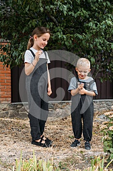 Kids picking plums in backyard. Preschooler girl and boy playing in plum tree orchard and eating fresh plums. Kids