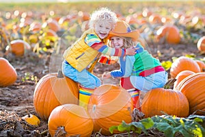 Kids picking pumpkins on Halloween pumpkin patch