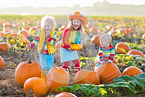 Kids picking pumpkins on Halloween pumpkin patch