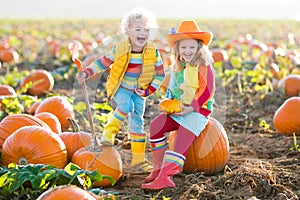 Kids picking pumpkins on Halloween pumpkin patch