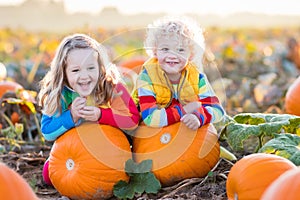Kids picking pumpkins on Halloween pumpkin patch