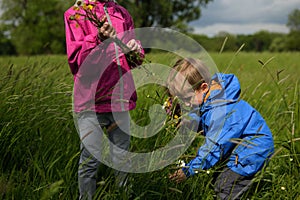 Kids picking up flowers on a meadow
