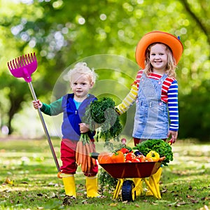 Kids picking vegetables on organic farm