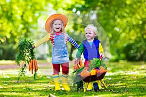 Kids picking vegetables img