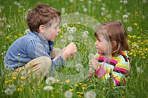 Kids plaing at meadow and blow dandelion