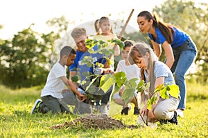 Kids planting trees with volunteers