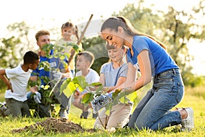 Kids planting trees with volunteers photo