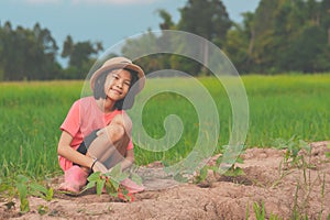 Kids planting vegetable in organic garden farmland of agriculture