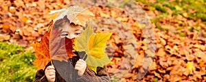 Hrať v jeseni. hádzanie listy. chlapec dub a javor list. pokles listy. rodina 
