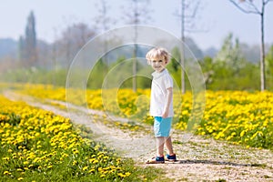 Kids play. Child in dandelion field. Summer flower