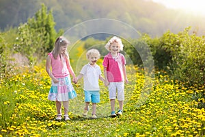 Kids play. Child in dandelion field. Summer flower