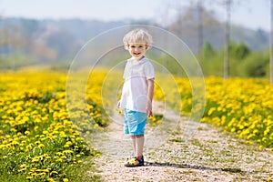 Kids play. Child in dandelion field. Summer flower