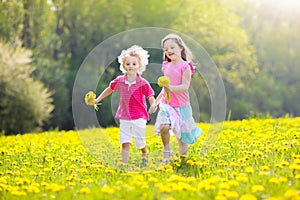 Kids play. Child in dandelion field. Summer flower