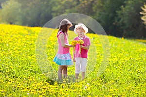 Kids play. Child in dandelion field. Summer flower