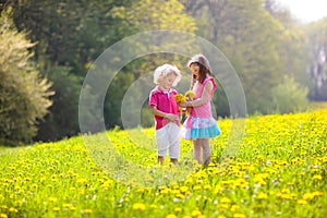 Kids play. Child in dandelion field. Summer flower