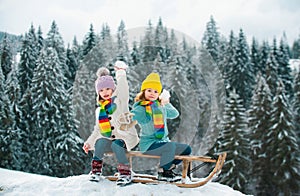 Kids play snowball, snow ball fight for children. Winter knitted kids clothes. Cold weather. Happy little kids wearing