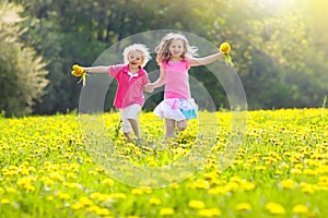 Kids play. Child in dandelion field. Summer flower