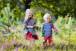 Kids playing in autumn park