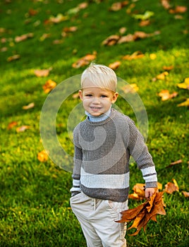 Kids playing in the autumn park. Small and very cute boy in vintage clothes with suitcase on autumn leaves background.