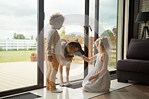 Kids playing with big german shepherd dog coming inside house