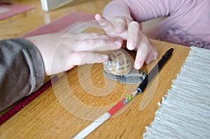 Kids playing with big snail