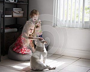 Kids playing gently with a pet french bulldog in the living room