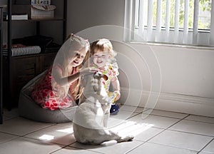 Kids playing gently with a pet french bulldog in the living room