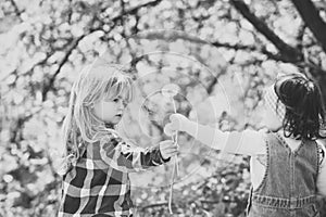 Kids playing - happy game. Boy give dandelion flower for girl
