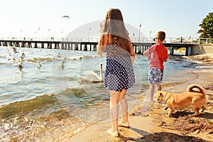 Kids playing with swan white bird.