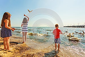 Kids playing with swan white bird.