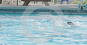 Kids playing in a swimming pool