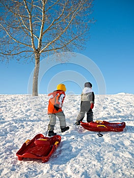 Kids playing in winter