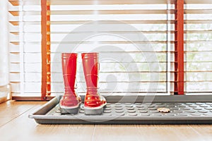 Kids Red rubber shoes in the hall of the house. Bright red gardening boots. Rainy Shoes. Autumn,spring kids boots concept