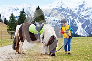 Kids riding pony. Child on horse in Alps mountains