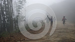 Kids Running Through A Bamboo Forest