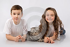 Kids with Scottish Fold cat isolated on white. Kids Pet Friendship