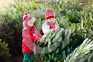 Kids select Christmas tree. Family buying Xmas tree.