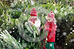 Kids select Christmas tree. Family buying Xmas tree.