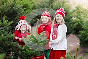 Kids selecting Christmas tree. Xmas gifts shopping.