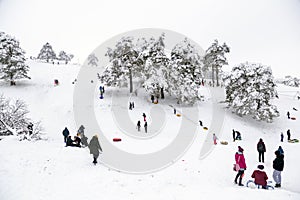 Kids with their parents having fun with sleds