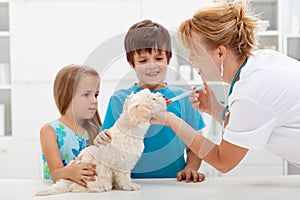 Kids with their pet at the veterinary doctor